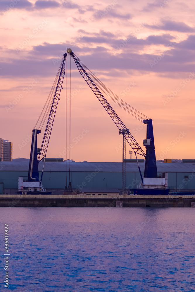 watching dusk in the port of la coruña while their cranes rest