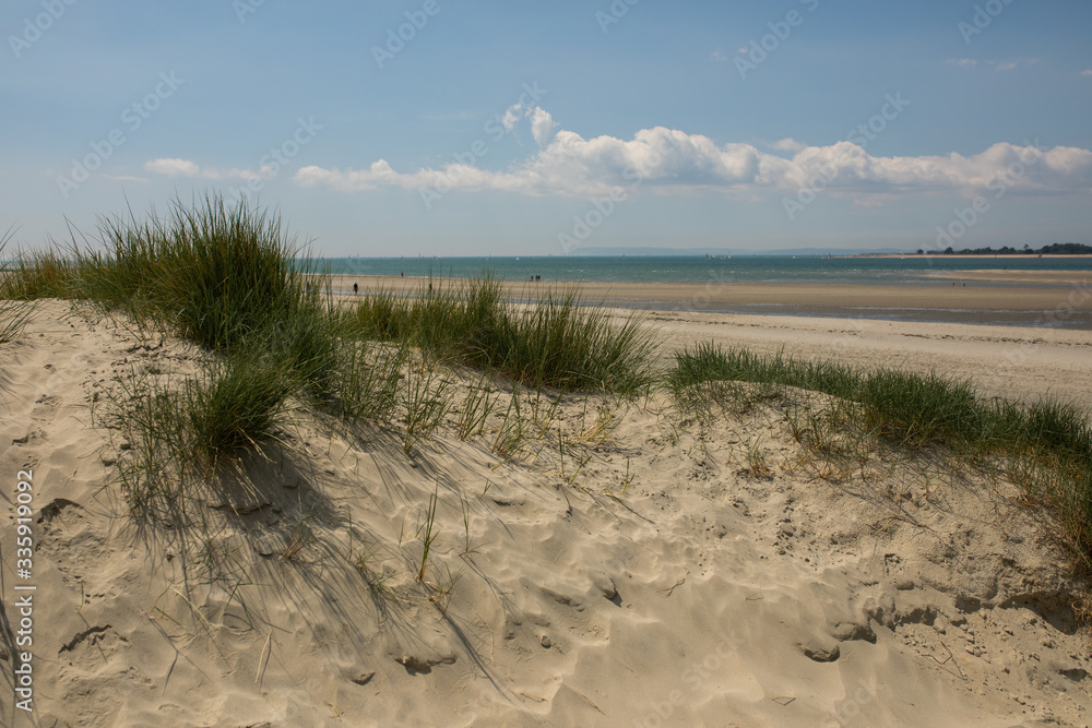 Sandy beach dunes water sunny day , sea Sandy beach dunes water sunny day , sea