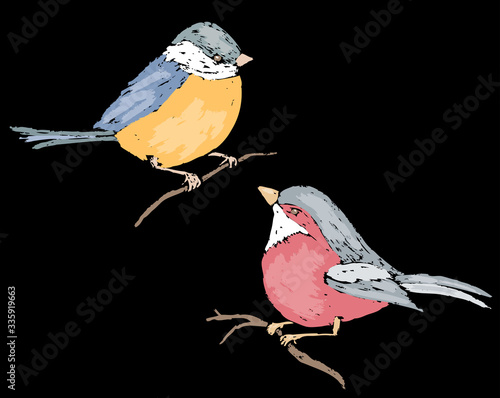 Vector image of drawn titmouse and bullfinch