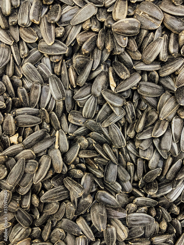 Fotografie lots of dried black sunflower seeds for eating background