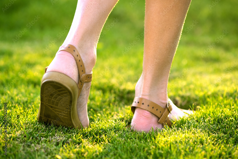 Close up of woman feet in summer sandals shoes walking on spring lawn covered with fresh green grass.