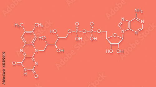Quadro em tela Flavin adenine dinucleotide (FAD) redox coenzyme molecule