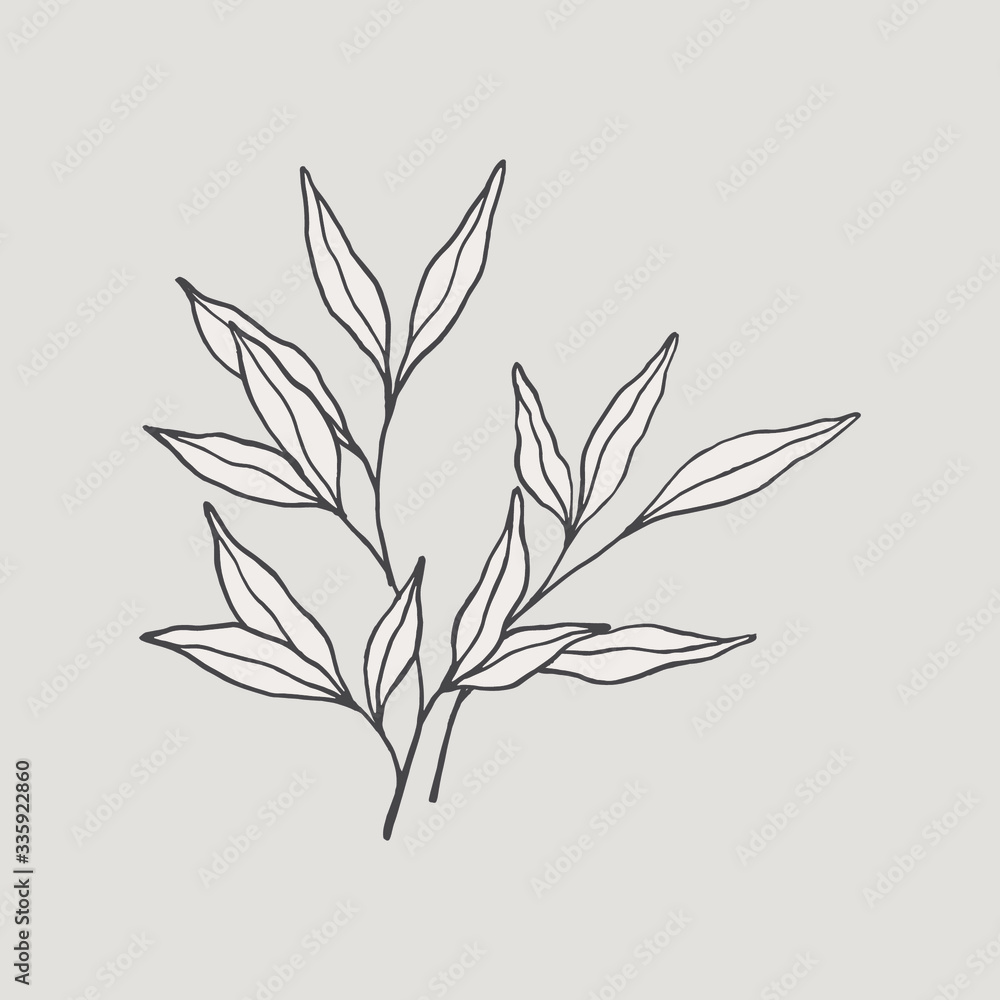 Fototapeta premium Hand drawn leaves arrangement. Vector botanical illustration, floral brush sketches