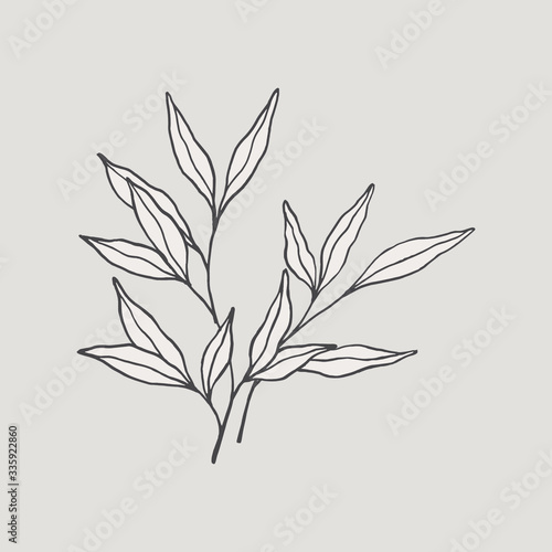 Hand drawn leaves arrangement. Vector botanical illustration, floral brush sketches