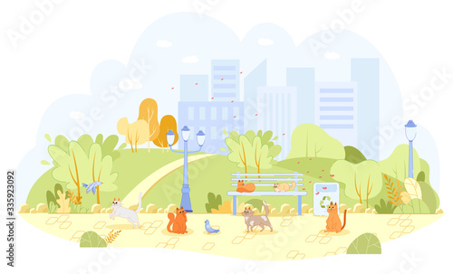 Lot Stray Cats in City Park Unattended, Cartoon.