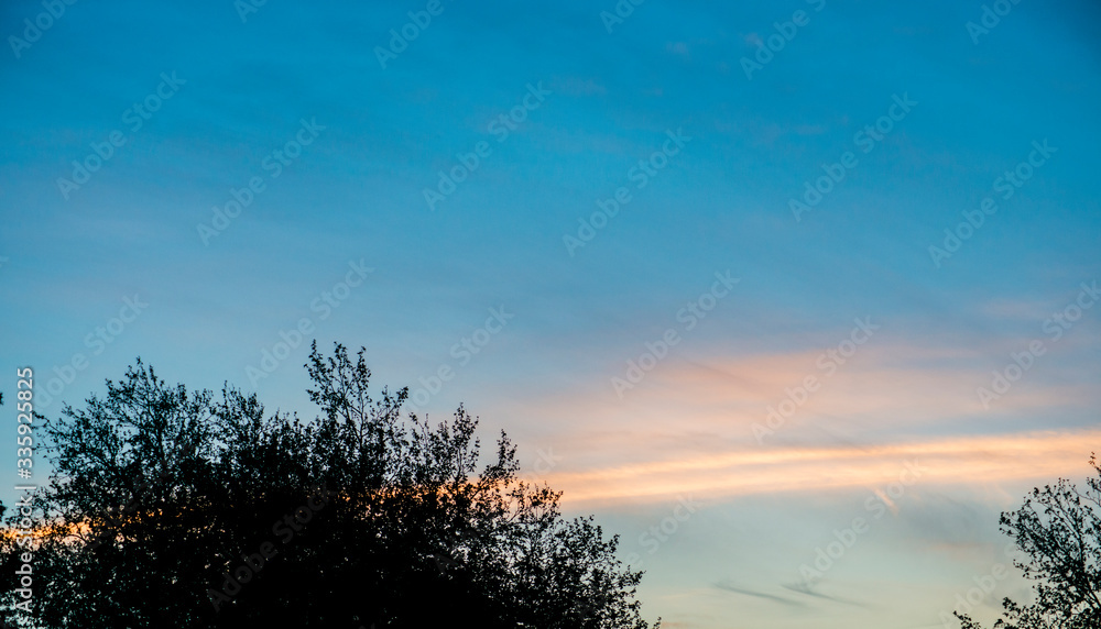 Fototapeta premium Oregon