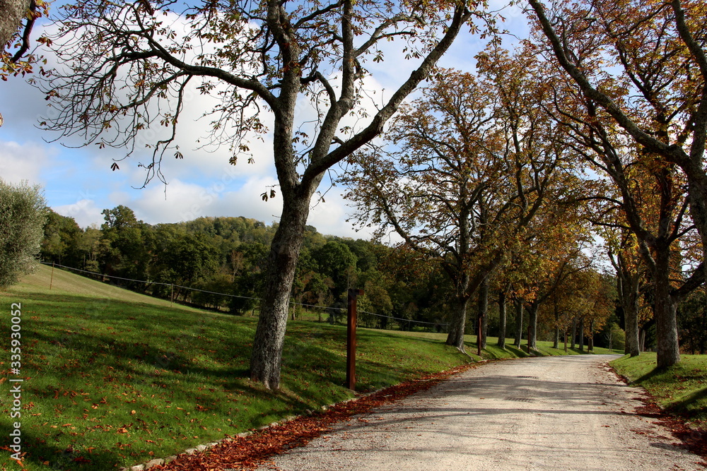 giardini autunnali a Pratolino