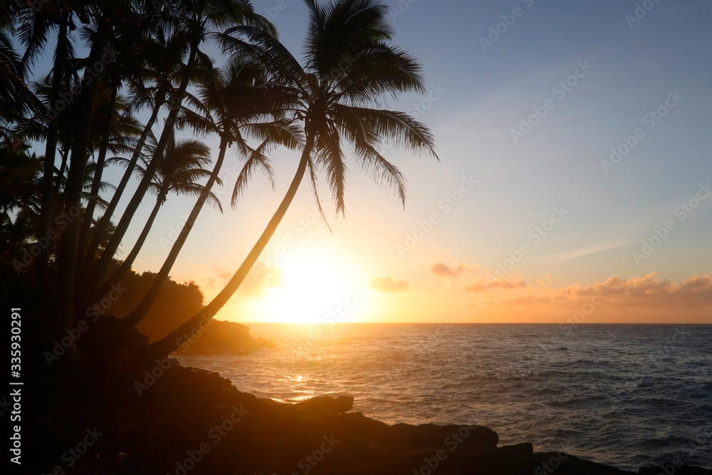 Beautiful Hawaii nature background with ocean. Scenic landscape with cloudy sunrise and palm trees silhouettes in a foreground. Hawaii Big Island, USA.