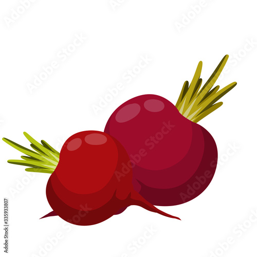 Beet. Red root vegetable. Set of Natural product. Harvest. Rural Plant and food. Healthy diet. Cartoon flat illustration