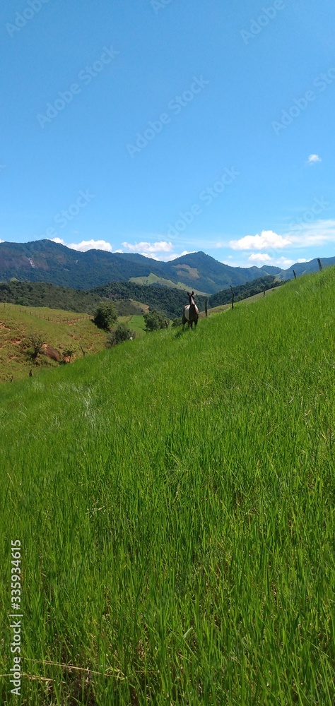 mountain landscape with blue sky