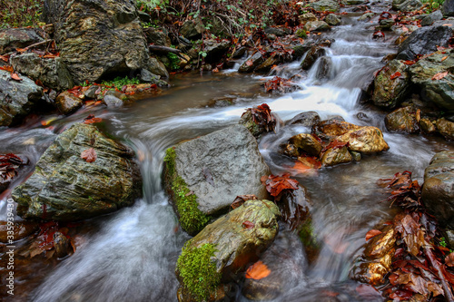 River in mountain in autumn with yellow foliage