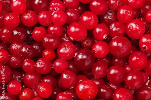 Cranberry. Cranberry background. Food background