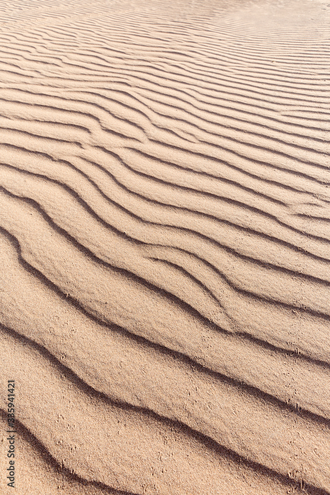 Landscape in the desert in the town of M´Hamid Landscape in the desert in the town of M´Hamid
