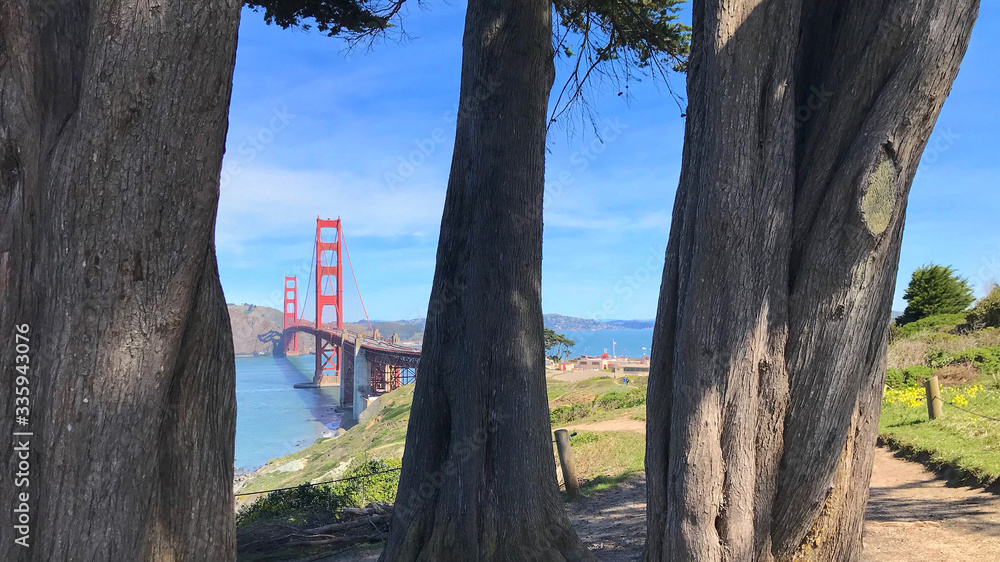 Fototapeta premium Golden Gate Bridge through the Trees