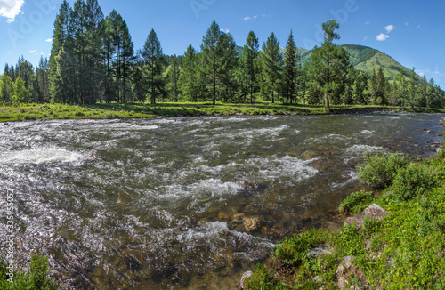River in the Altai Mountains, summer landscape