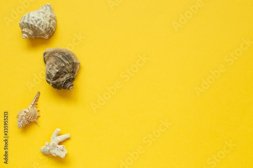 Seashells isolated on yellow background. Summer marine decoration. flat lay  top view  copy space