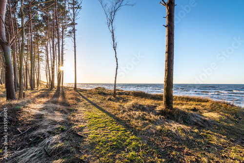 Lubiatowo / Polska photo