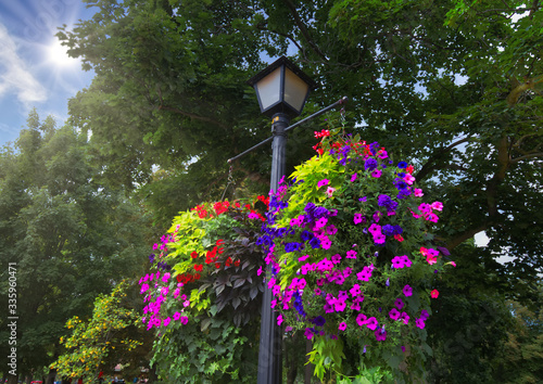 Picturesque Niagara On the Lake city street photo