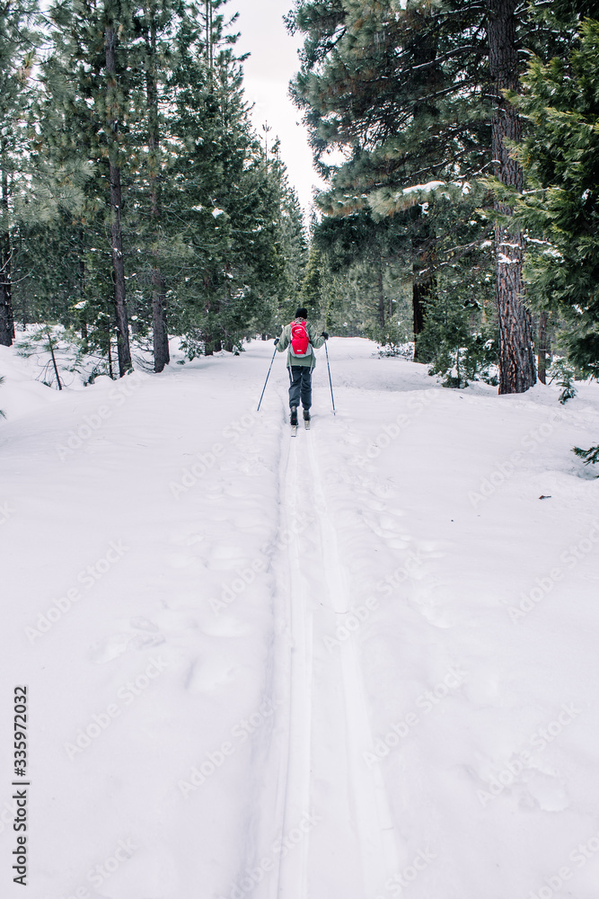 cross country skiing in the forest