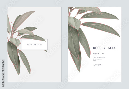 Foliage wedding invitation card template design, Cordyline fruticosa Firebrand plant on white and grey