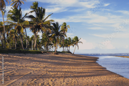 Foto Repouso obrigatório na Praia do Forte - BA