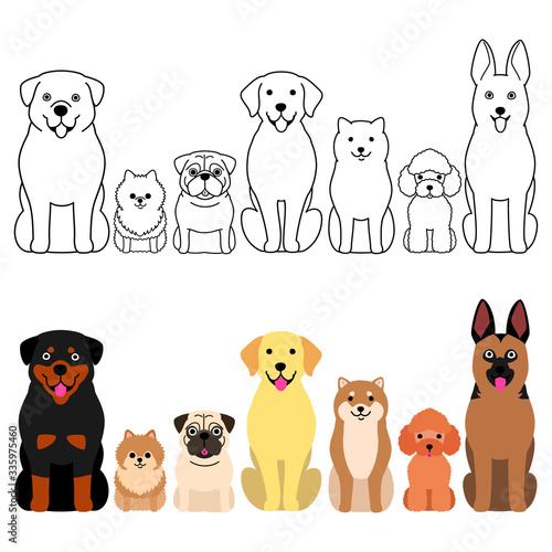 dogs border set, full body
