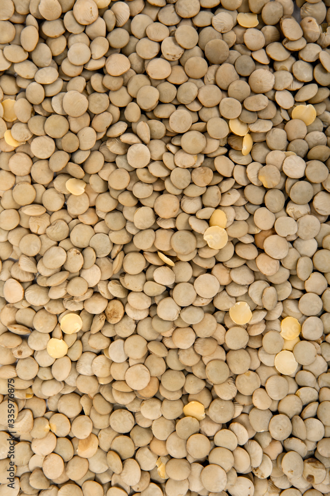 Pile of Green Lentils Pile of Green Lentils