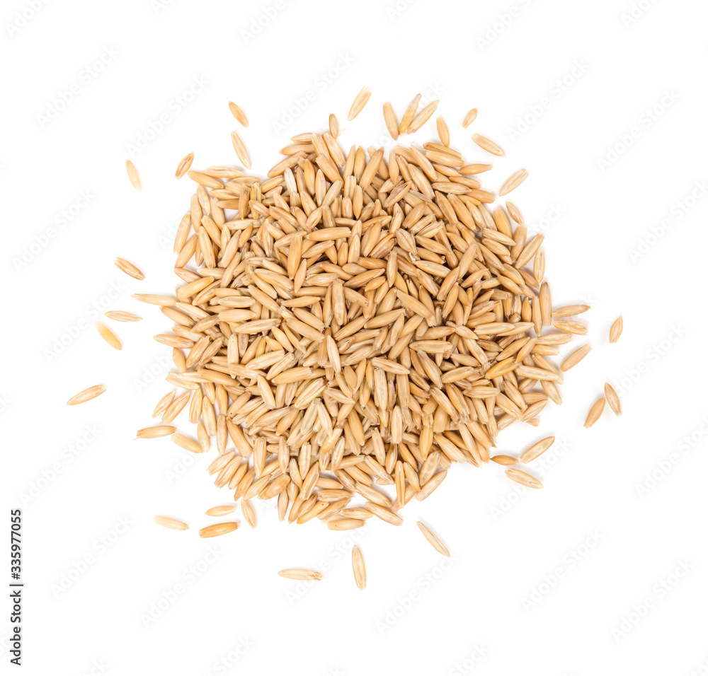 Wheat Grass Seeds Wheat Grass Seeds