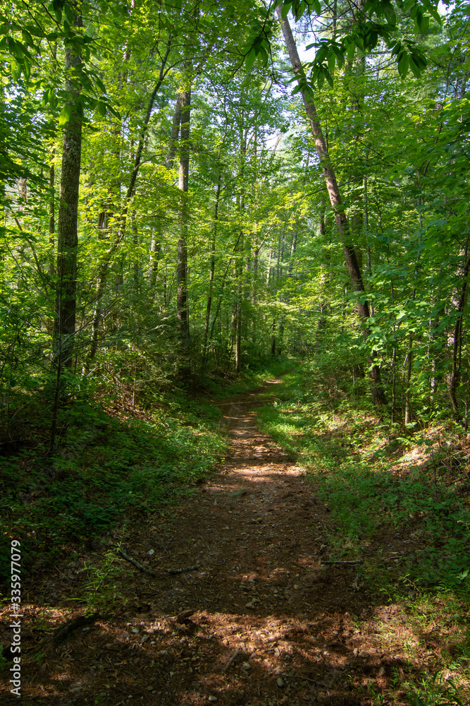 Smoky Mountains landscape along the trails. Smoky Mountains National Park, Tennessee, USA Smoky Mountains landscape along the trails. Smoky Mountains National Park, Tennessee, USA