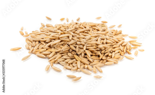 Wheat Grass Seeds