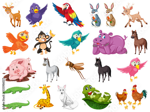 Set of many cute animals on white background