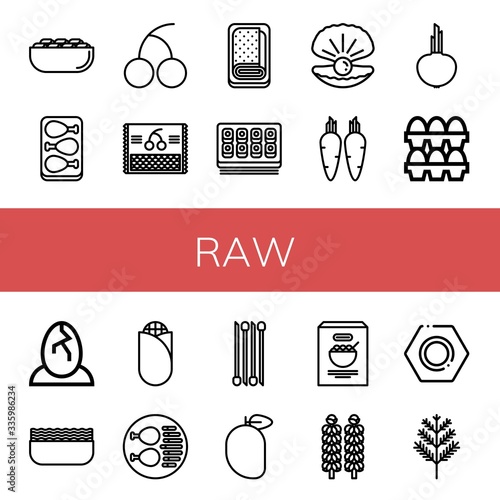 raw simple icons set