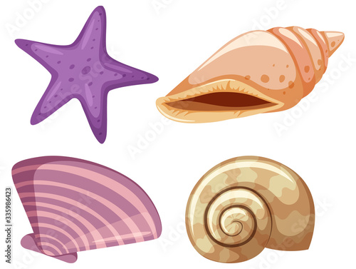 Set of starfish and seashells on white background