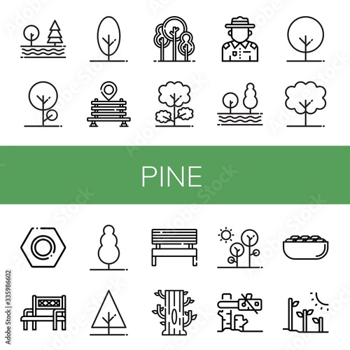 pine icon set