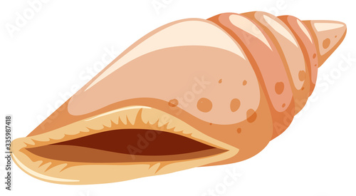 Single seashell on white background