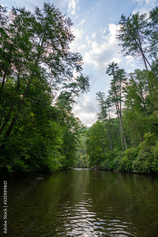 Water gently flowing down Abrams Creek.  Smoky Mountains National Park, Tennessee, USA