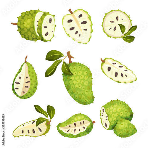 Soursop Fruit or Guanabana with Dark Green Rind Covered with Thick Thorns Vector Set