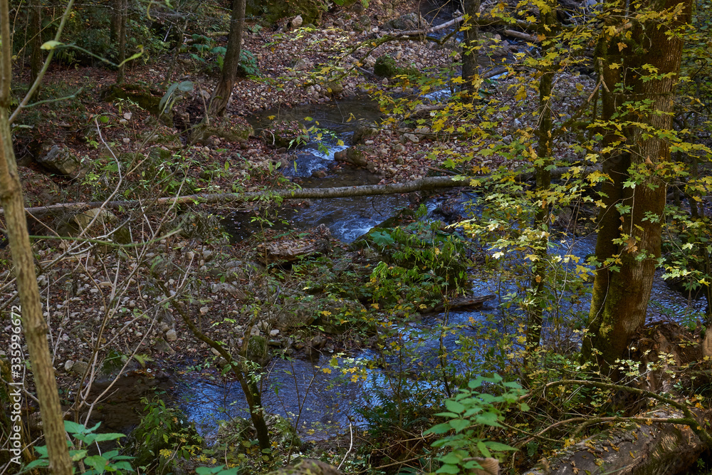 Image of a mountain stream in the autumn forest. Image of a mountain stream in the autumn forest.