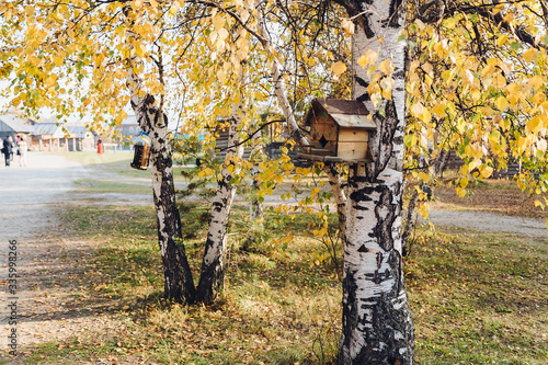 Birdhouse on birch tree, branches with yellow autumn on background photo