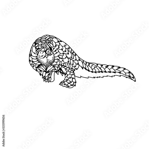 Sketch design of illustration pangolin on White background 