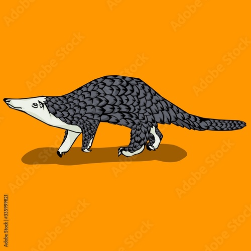 Simple design of illustration pangolin on White background 