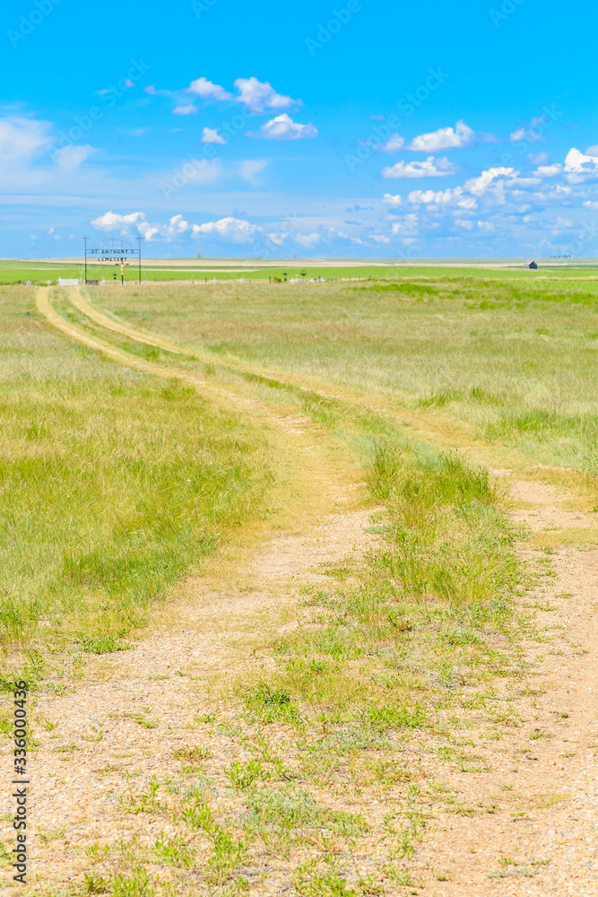 Fototapeta premium Old Dirt Road