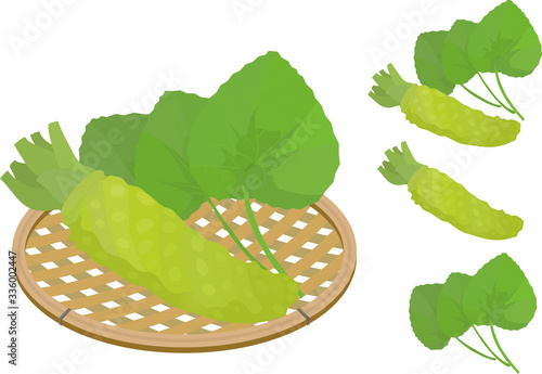 Vector illustration of wasabi and leaves on the basket.