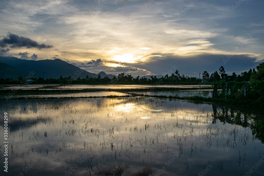 sunset over rice paddies nha trang, vietnam, asia