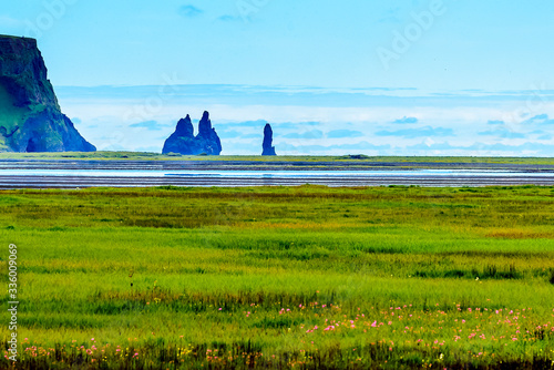 Beautiful rugged Iceland coast at Vik