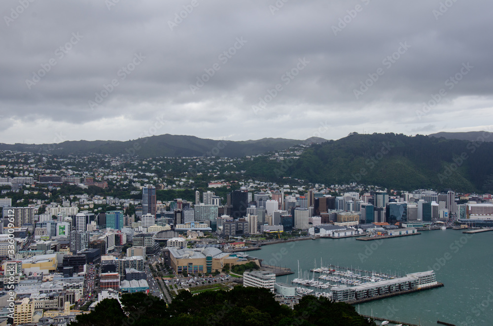 View of wellington city from mount victoria