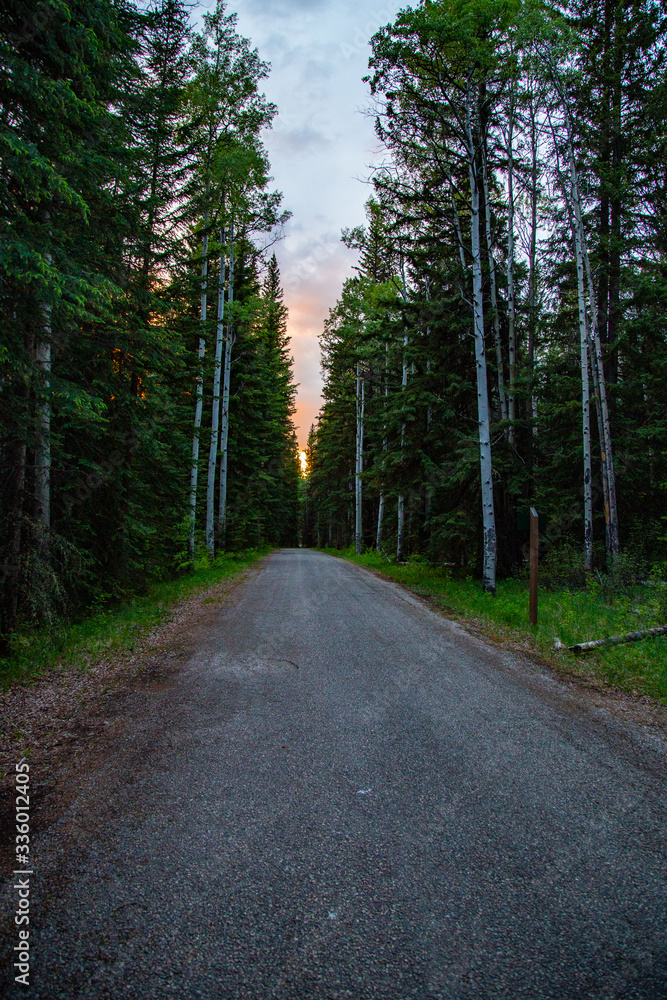 Naklejka premium mountain, forest, landscape, mountains, nature, sky, road, tree, blue, autumn, snow, trees, peak, canada, alps, travel, green, grass, rocky, park, highway, rock, wilderness, clouds, fall, pine, branch