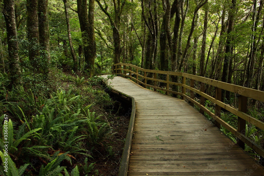 Obraz premium Boardwalk on Milford Foreshore Walk in Fiordland National Park in Southland on South Island of New Zealand 