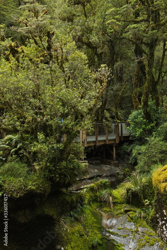 The Chasm Walkway in Fiordland National Park in Southland on South Island of New Zealand
