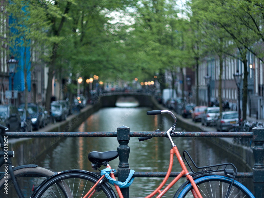 Bicicletta Olandese
